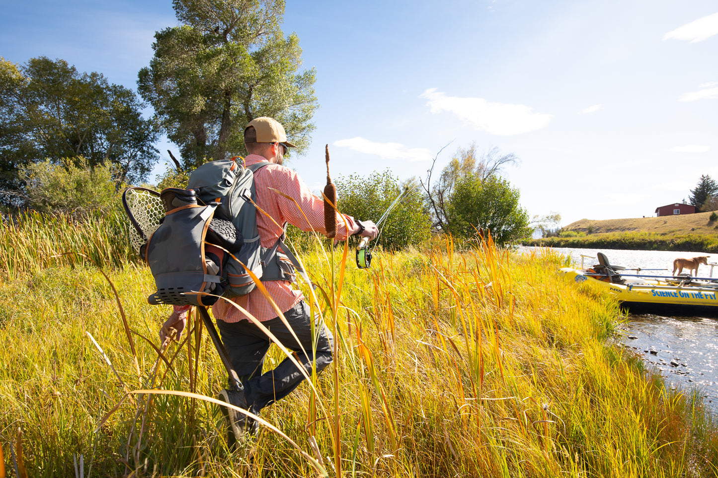 firehole grass