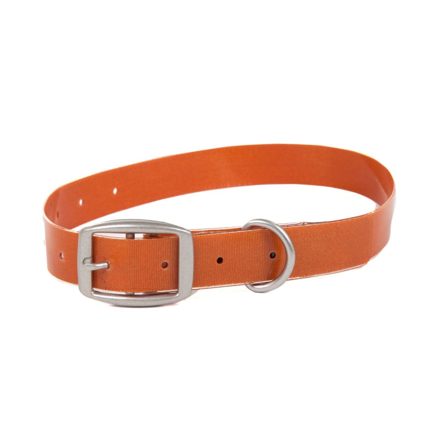 Salty Dog Collar | M CO