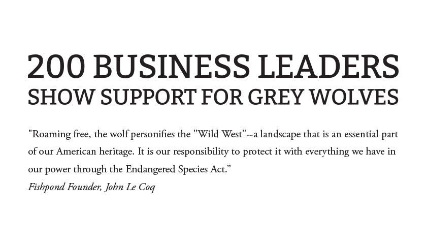 200 Business Leaders Show Support for Gray Wolves