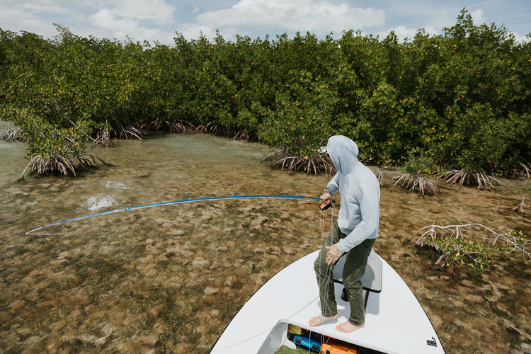 Bonefish & Tarpon Trust