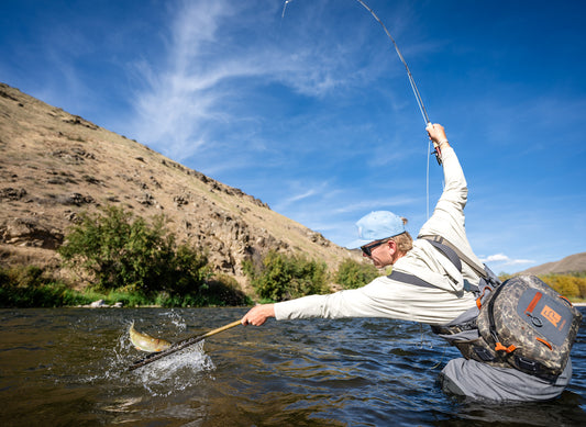 Nomad Nets