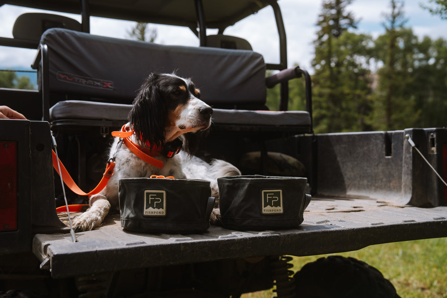 Bow Wow Travel Food Bowl
