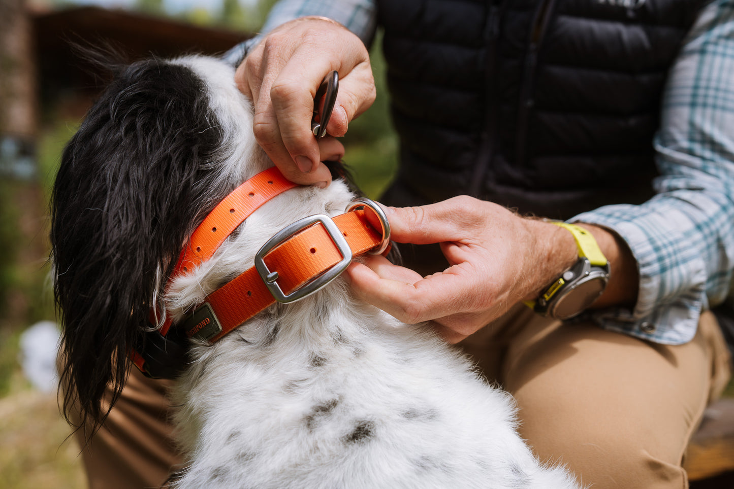 Fishpond Dog Collar
