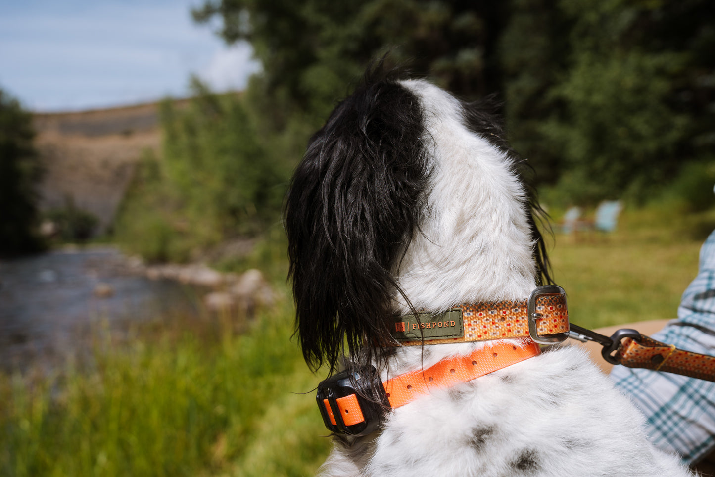 Fishpond Dog Collar