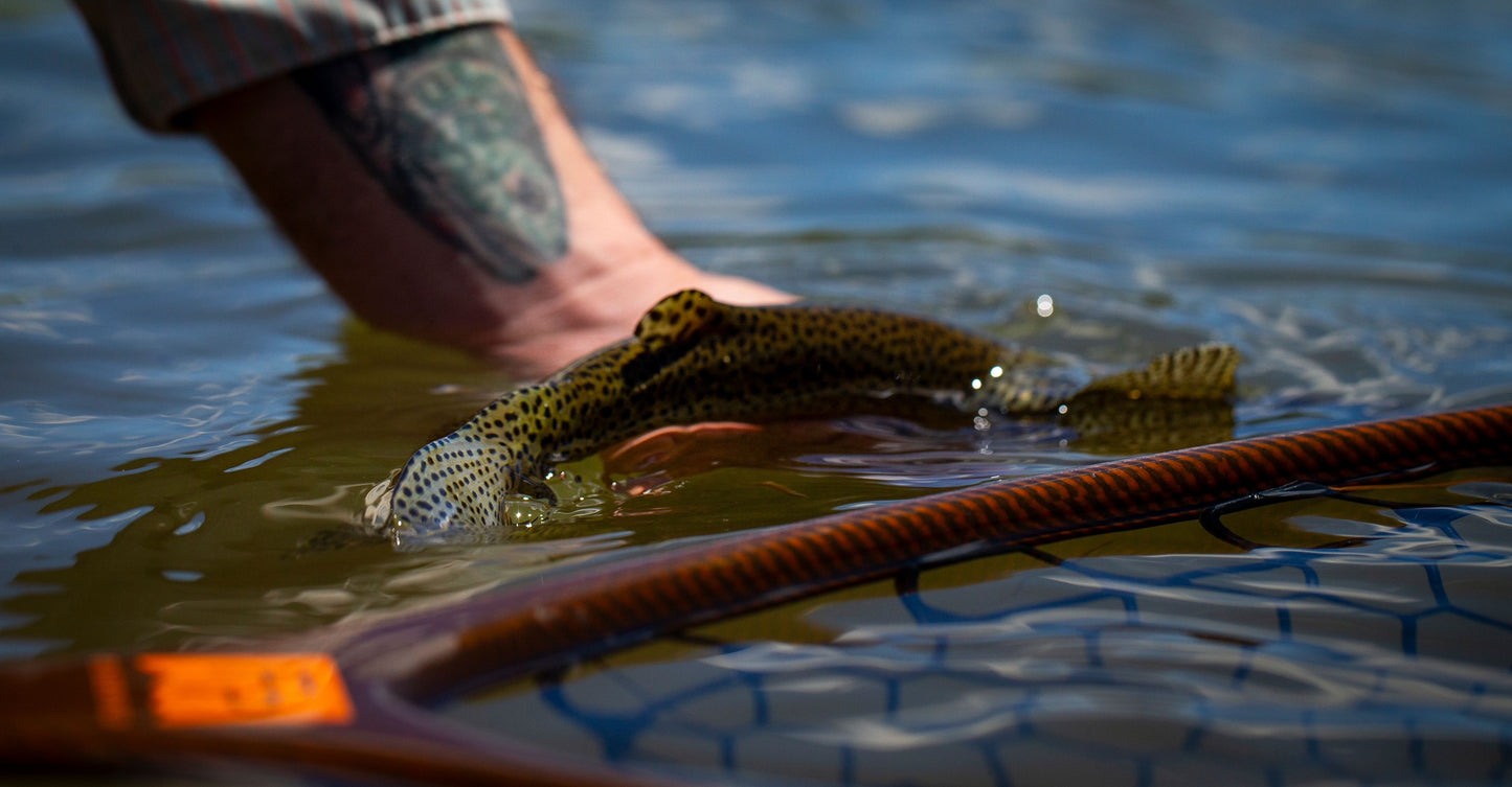 Fishpond Nomad® El Jefe Grande - River Armor - 2.0