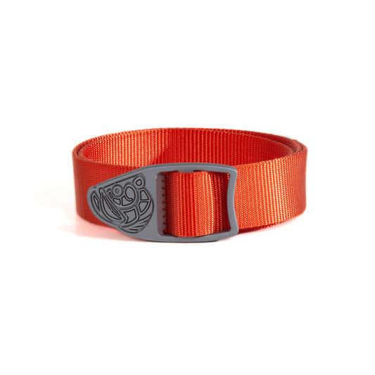 Coral Webbing | FEATURED